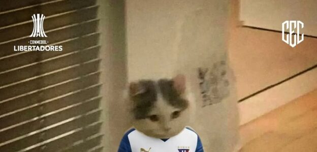 cropped cropped screenshot 2026 08 15 08 09 28 064 com.instagram.android.jpg